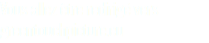 Vous allez être redirigé vers greentouchpicture.eu